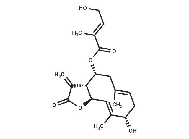 Eupalinolide K