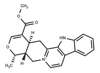 Serpentine