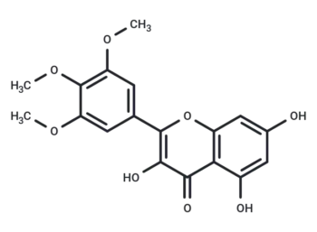 3,5,7-Trihydroxy-3',4',5'-trimethoxyflavone