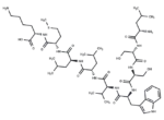 alpha-1 antitrypsin fragment 235-243 [Homo sapiens]/[Papio hamadryas]/[Cercopithecus aethiops]