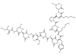 β-Interleukin II (44-56)