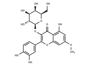 Rhamnetin 3-galactoside