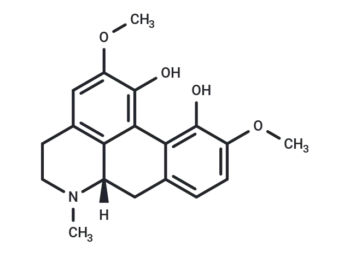 Corytuberine