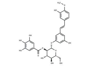 Rhaponticin 2′′-O-gallate
