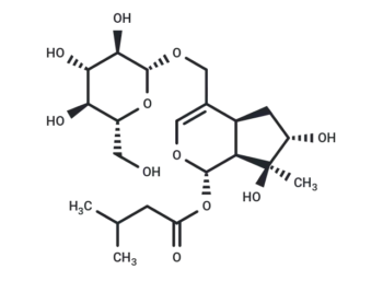 Valerosidate