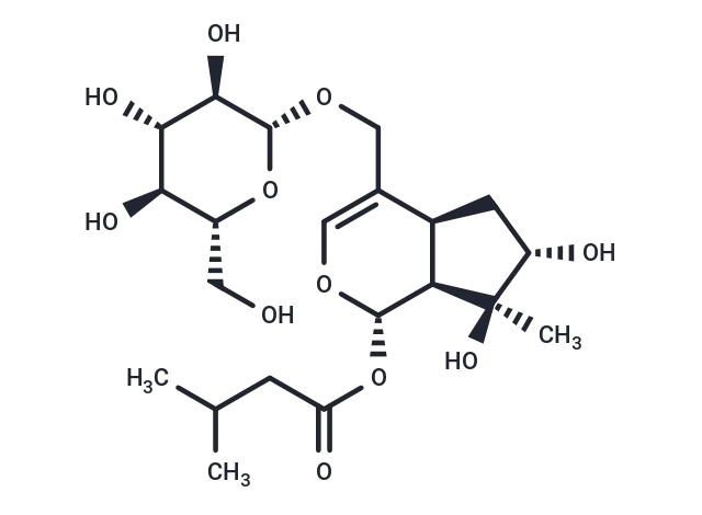 Valerosidate CgoaEGY7Q eEQwFZAAAAAO7 h U331- Immunomart