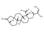 ent-3Beta-Angeloyloxykaur-16-en-19-oic acid