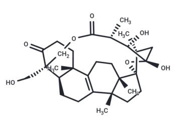 Scillascillone