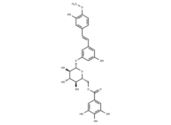Rhaponticin 6′′-O-gallate