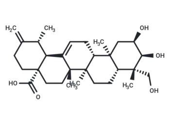 2α,3α,24-Trihydroxyursa-12,20(30)-dien-28-oic acid