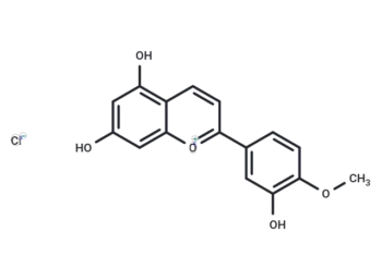 Diosmetinidin chloride