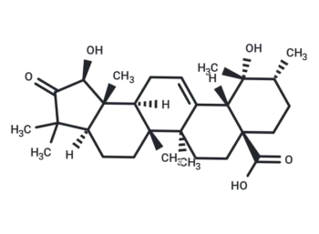 Rubuminatus B