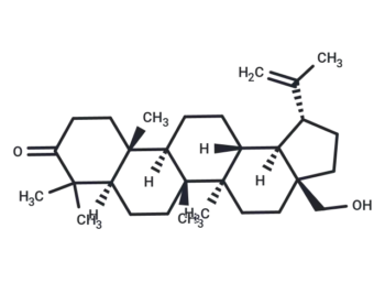 3-Oxobetulin