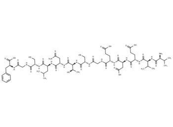 Peptide VF13N
