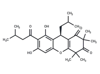 Rhodomyrtone