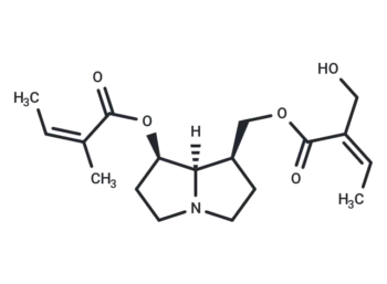 Sarracine