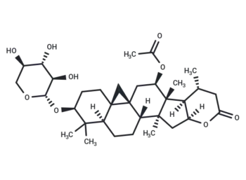Cimilactone A