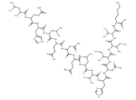 alpha-1 antitrypsin fragment