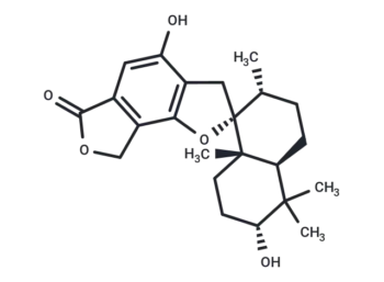 Stachybotrolide