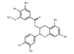 (-)-Epicatechin-3-(3”-O-methyl) gallate