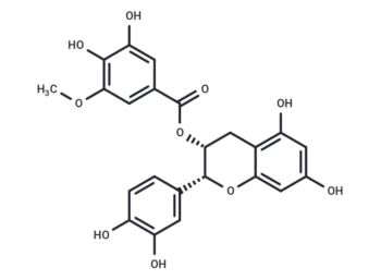 (-)-Epicatechin-3-(3''-O-methyl) gallate