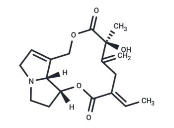 Spartioidine