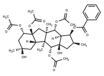 5-hydroxythalidomide