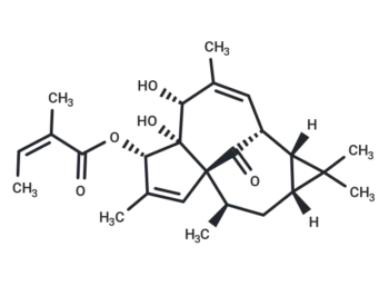 20-Deoxyingenol 3-angelate