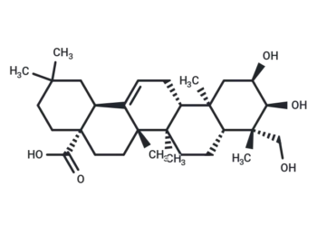 2,3,24-Trihydroxyolean-12-en-28-oic acid