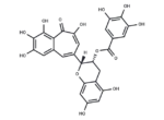 Epitheaflagallin 3-O-gallate