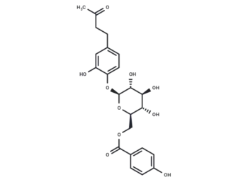 Salviaplebeiaside