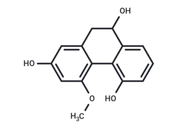 Rotundatin