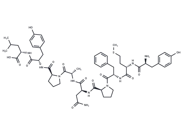 WT-1 A1 CgoaEGY7T72EFBafAAAAANFn5WQ969- Immunomart