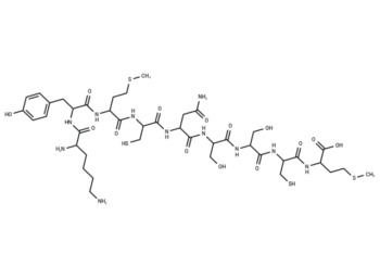 p53 tumor suppressor fragment