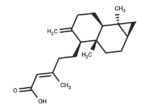 Metasequoic acid A
