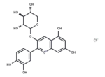 Cyanidin 3-xyloside