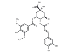 4-O-Caffeoyl-3-O-syringoylquinic acid 1 4-O-Caffeoyl-3-O-syringoylquinic acid