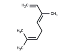 trans-β-Ocimene 1 trans-β-Ocimene