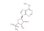 5′(R)-C-Methyl-N6-methyladenosine