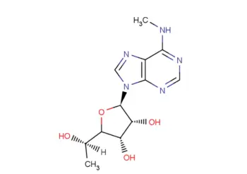 5'(R)-C-Methyl-N6-methyladenosine