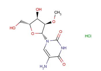 5-Amino-2'-deoxy-2'-O-methyluridine hydrochloride
