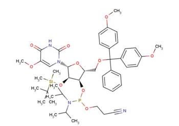 5'-O-DMTr-2'-O-TBDMS-5-methoxyuridine-3'-(cyanoethyl-N,N-diisopropyl)phosphoramidite