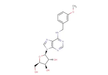 1-(b-D-Xylofuranosyl)-N6-(m-methoxybenzyl)   adenine