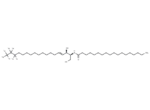 C18 Ceramide-d7