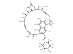 Rifampicin-d8