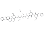 TREM-1 inhibitory peptide GF9