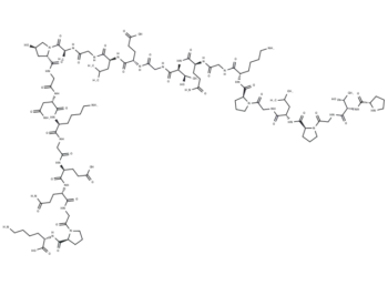 Collagen Type II Fragment