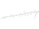 Xenopus orexin B 1 Xenopus orexin B