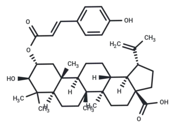 2-O-trans-p-Coumaroylalphitolic acid