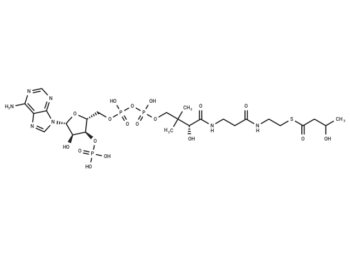 3-Hydroxybutyryl-CoA